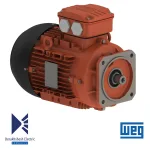 الکتروموتور 15 کیلووات 2 پل WEG