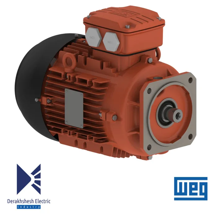 الکتروموتور 15 کیلووات 2 پل WEG