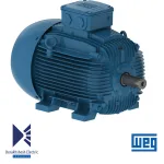 الکتروموتور 110 کیلووات 6 پل WEG