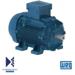 الکتروموتور 132 کیلووات 2 پل WEG