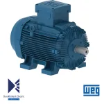 الکتروموتور 132 کیلووات 6 پل WEG