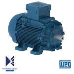 الکتروموتور 160 کیلووات 2 پل WEG
