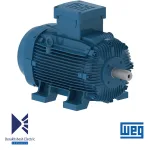 الکتروموتور 22 کیلووات 8 پل WEG
