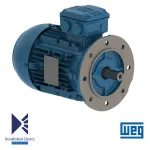 الکتروموتور 30 کیلووات 2 پل WEG
