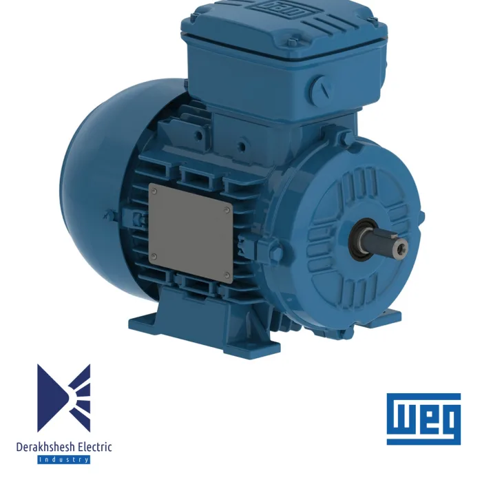 الکتروموتور 37 کیلووات 2 پل WEG