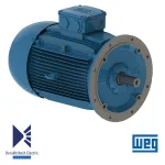 الکتروموتور 45 کیلووات 2 پل WEG