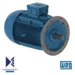 الکتروموتور 55 کیلووات 4 پل WEG