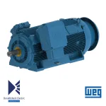 الکتروموتور 560 کیلووات 4 پل WEG